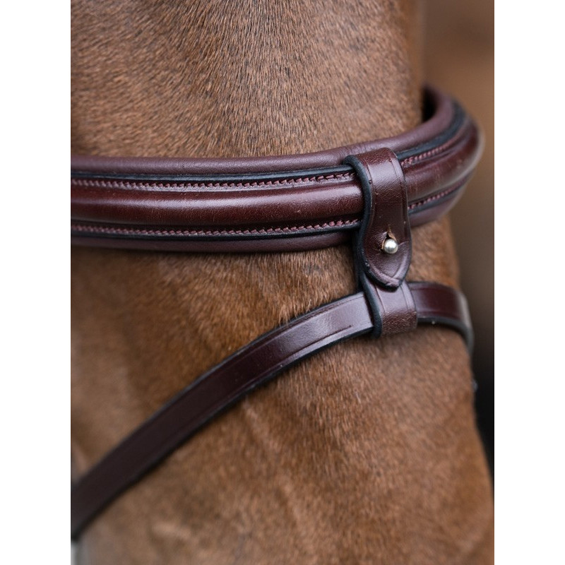 Bridon Evolution muserolle combinée Origin Jump'In