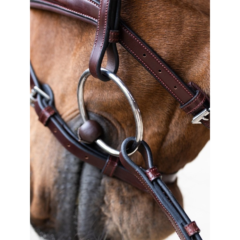 Bridon Evolution muserolle combinée Origin Jump'In