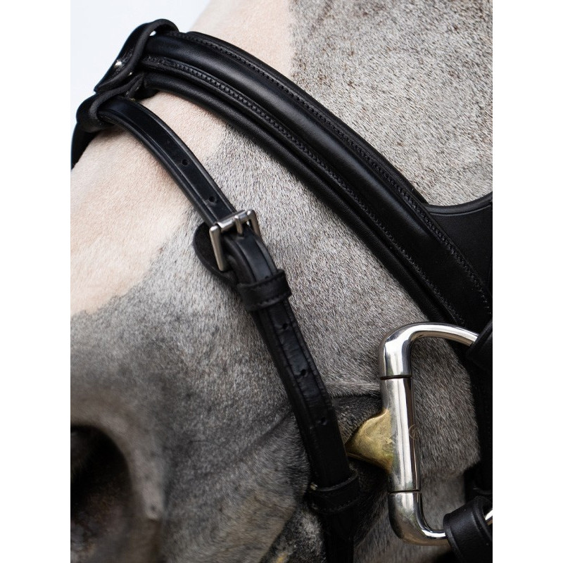 Bridon Evolution muserolle combinée Origin Jump'In