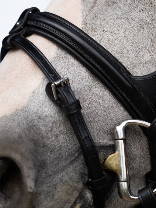 Bridon Evolution muserolle combinée Origin Jump'In