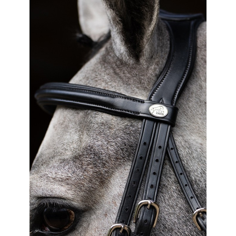 Bridon Evolution muserolle combinée Origin Jump'In