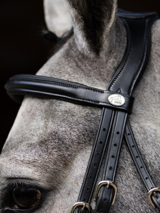 Bridon Evolution muserolle combinée Origin Jump'In