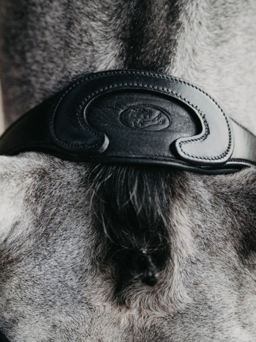 Bridon Evolution muserolle combinée Origin Jump'In