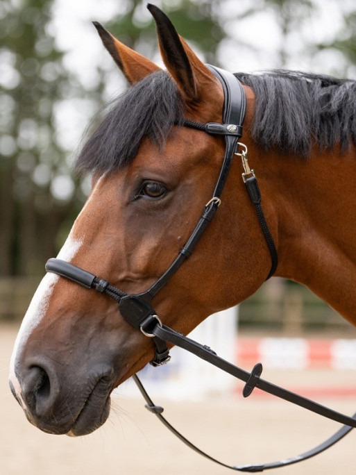 Bridon Bitless Origin Jump'In