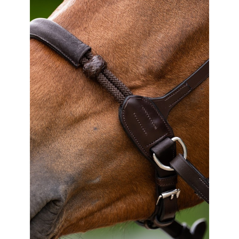 Bridon Bitless Origin Jump'In