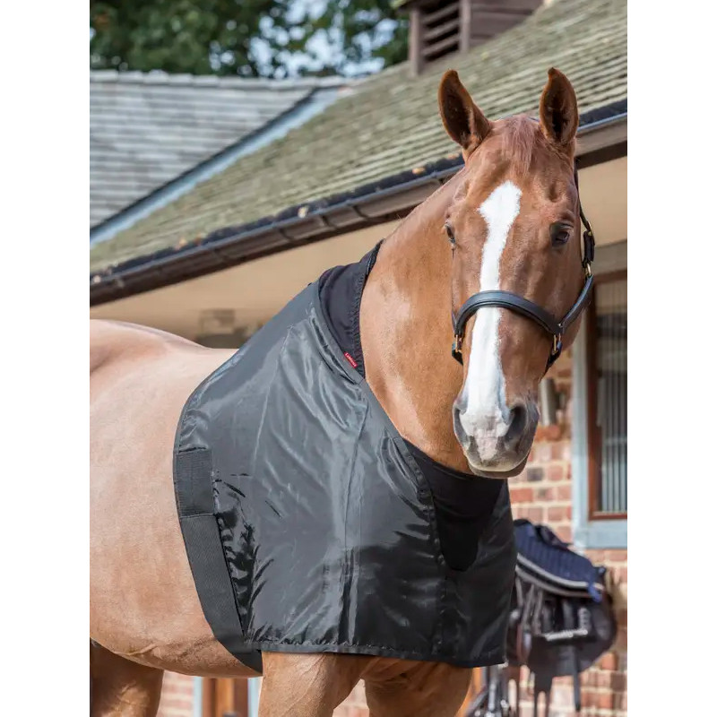 Protection de poitrail LeMieux