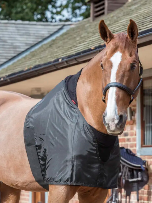 Protection de poitrail LeMieux