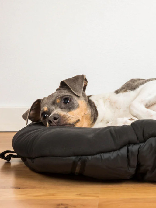 Matelas de voyage Back On Track