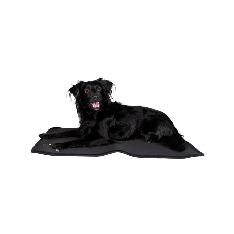 Tapis pour cage Back On Track