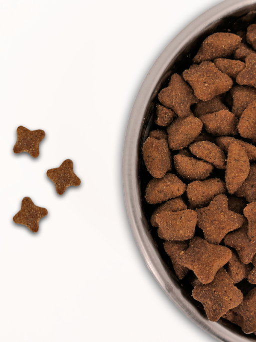 Croquettes Essentiel Volaille et Riz 30/18 Low Grain Nature Dog 15Kg