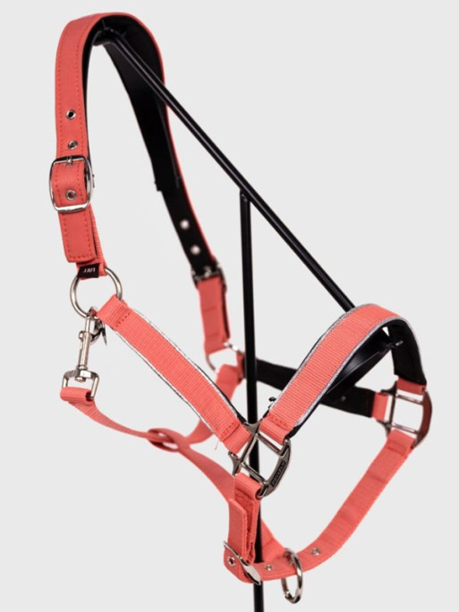 Licol + longe Bamara SS26 Harcour