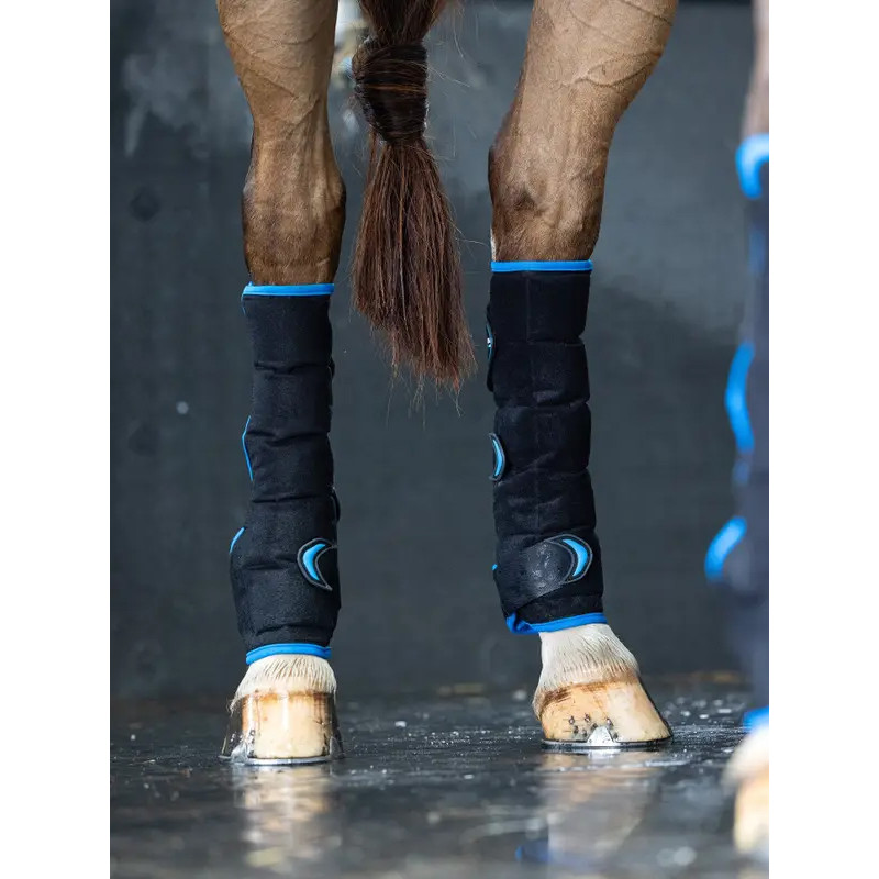 Guêtres postérieurs Freeze Flow Ice LeMieux