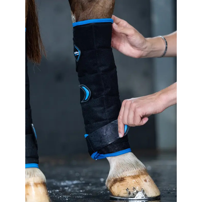 Guêtres postérieurs Freeze Flow Ice LeMieux