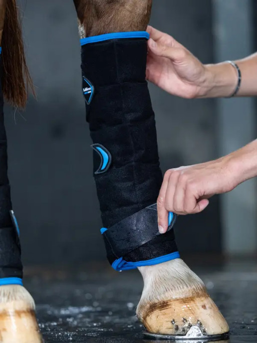 Guêtres postérieurs Freeze Flow Ice LeMieux