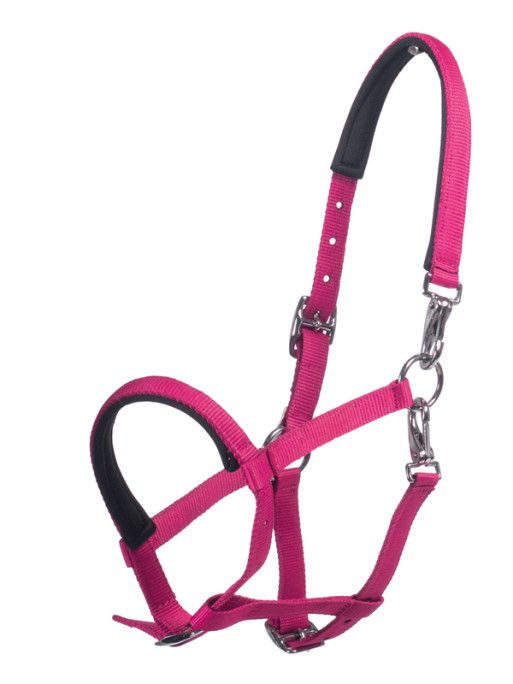 Licol poulain Millie HKM