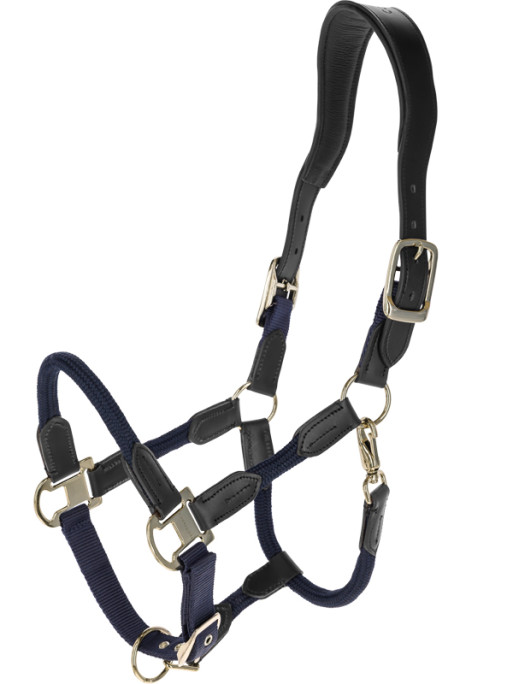 Licol Cordano SS26 Covalliero