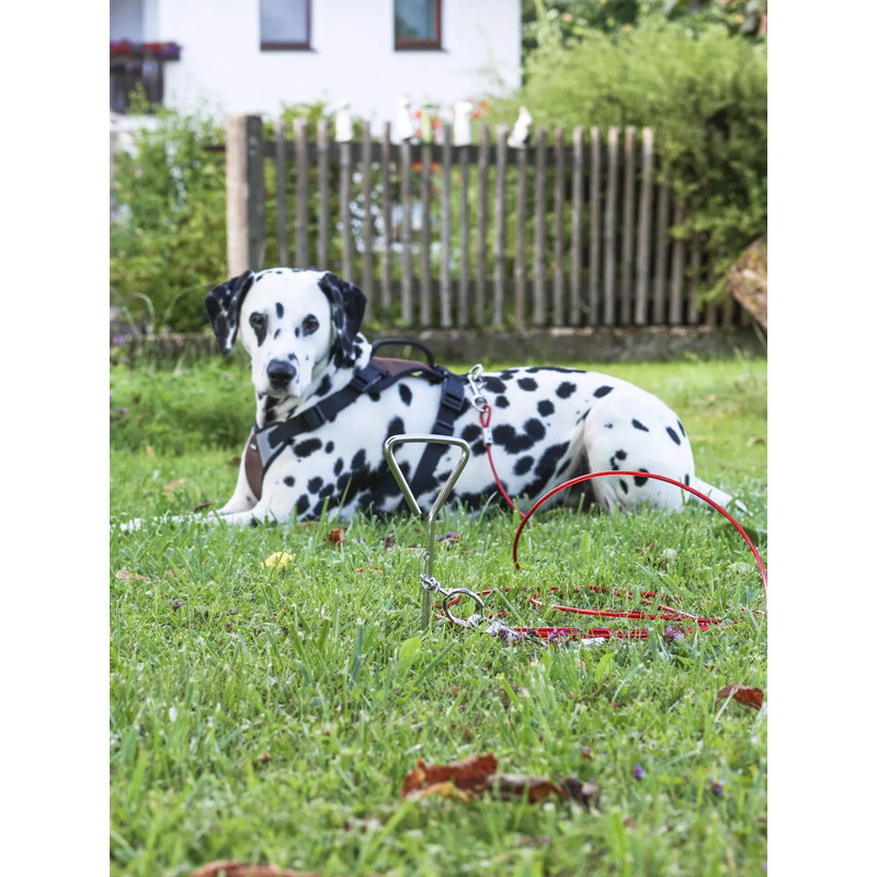 Laisse d'attache 6m à encrage spirale Kerbl