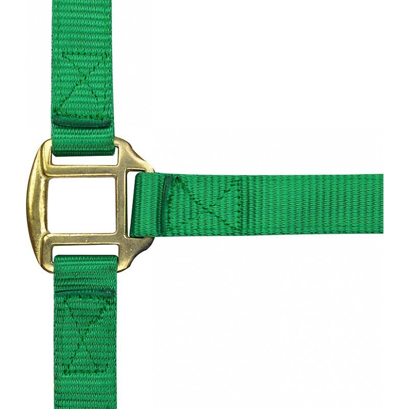 Licol nylon doublé cuir