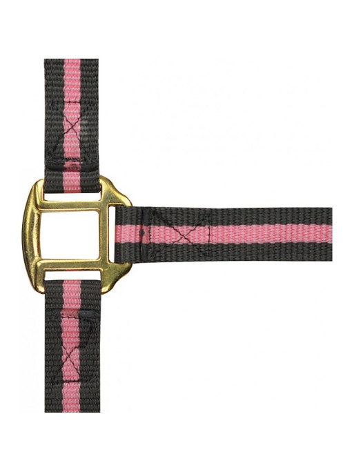 Licol nylon doublé cuir