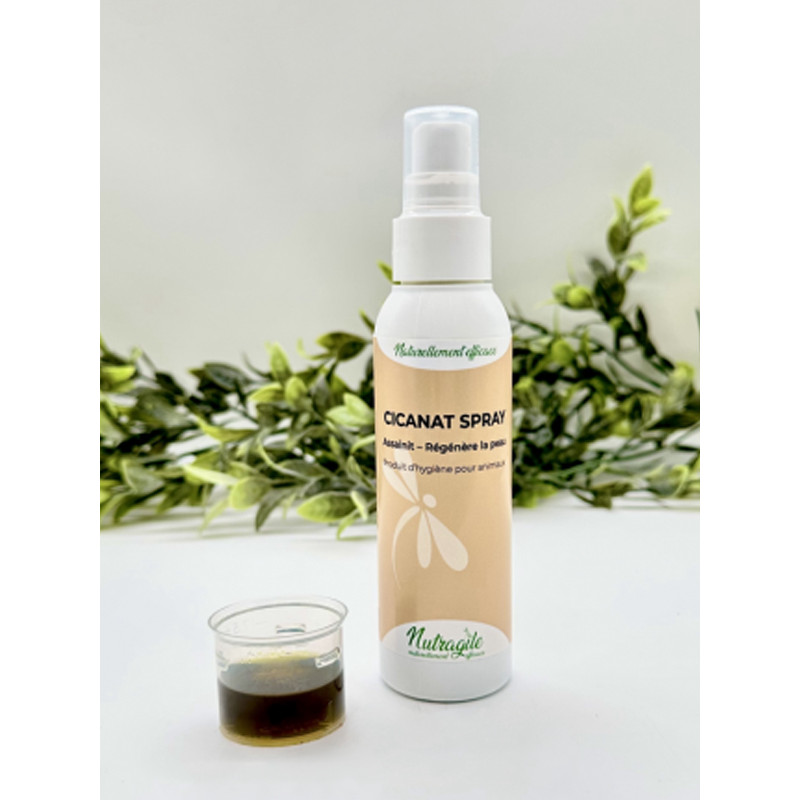 Spray désinfectant Cicanet 125ml Nutragile