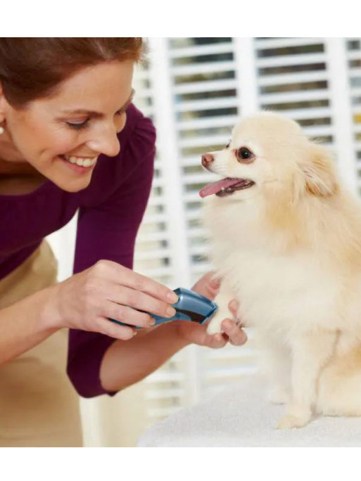 Mini-tondeuse sur batterie Oster