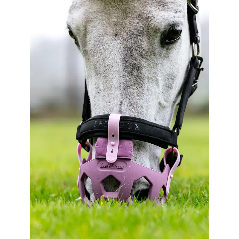 Muselière de pâturage LeMieux