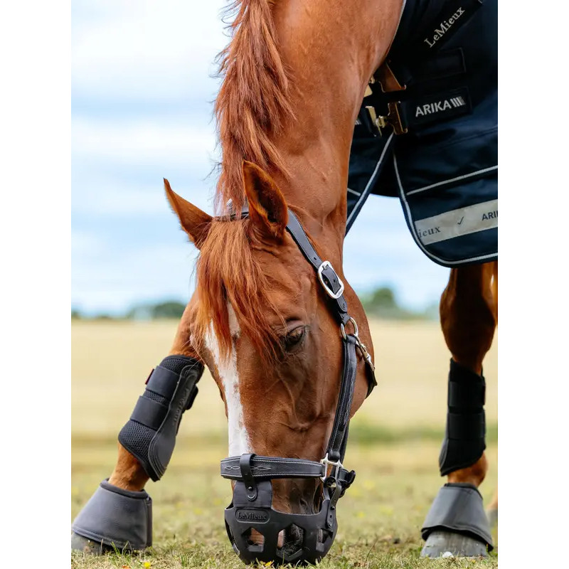 Muselière de pâturage LeMieux