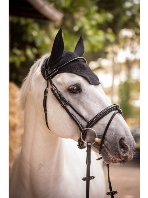 Bonnet Pro Coton Paddock