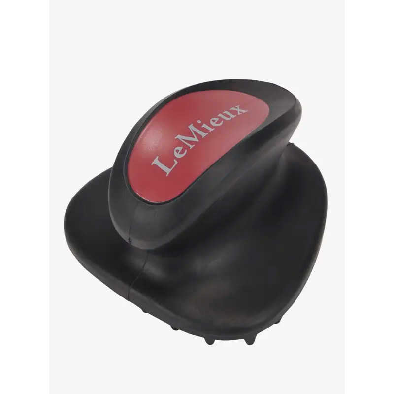 Brosse de massage LeMieux