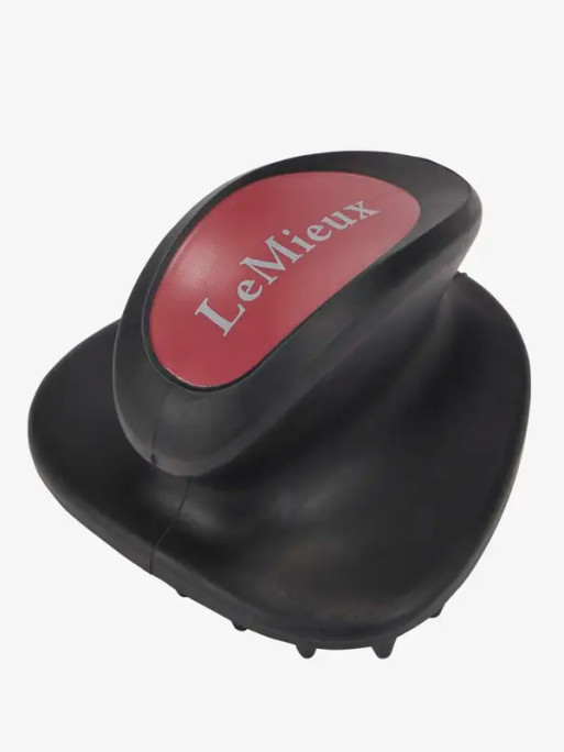 Brosse de massage LeMieux