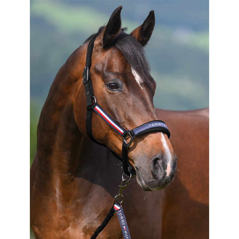Licol + longe Yale SS26 Tommy Hilfiger Equestrian