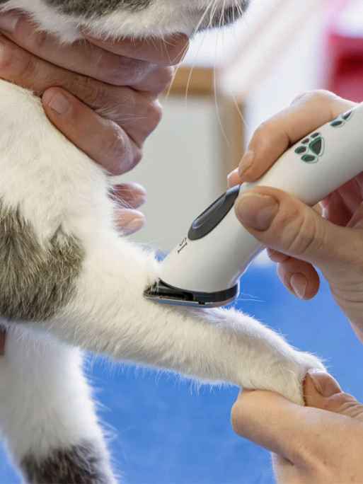 Tondeuse Isis Aesculap