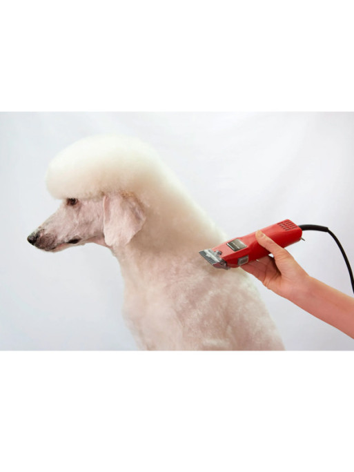 Tondeuse Favorita II Aesculap