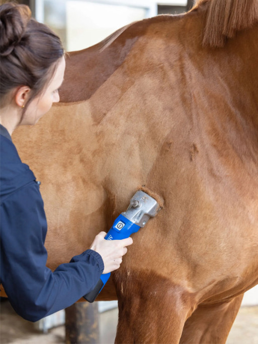 Tondeuse sur batterie (x2) Econom CL Aesculap