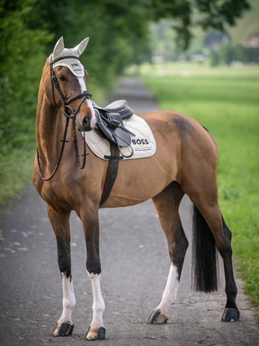 Tapis de selle CSO Cheltenham SS26 Hugo Boss Equestrian