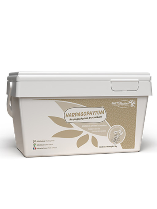 Complément pour articulations Harpagophytum Pur 1kg Phyto Master