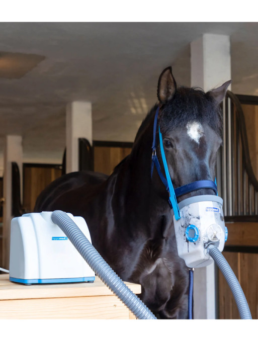 Inhalateur complet à ultrasons pour chevaux AirOne