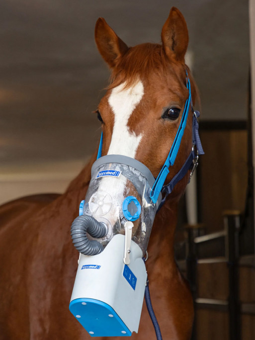 Inhalateur à ultrasons sans fil pour chevaux AirOne Flex Hippomed