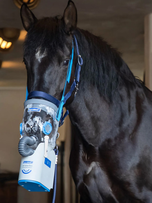 Inhalateur à ultrasons sans fil pour chevaux AirOne Flex Hippomed