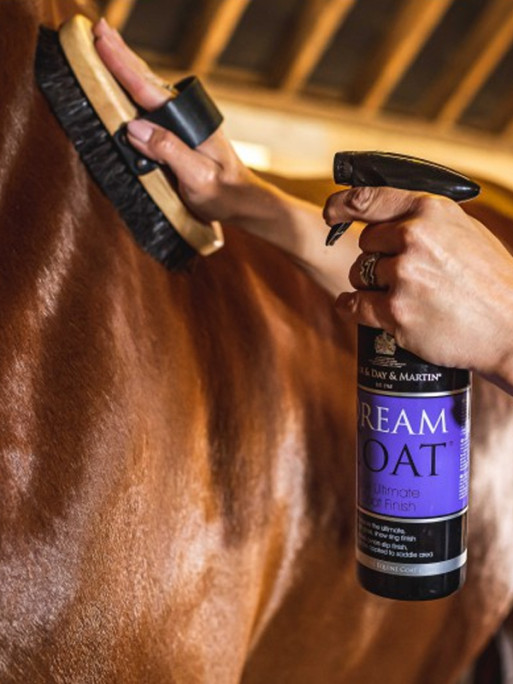 Lustrant 1L Carr & Day & Martin