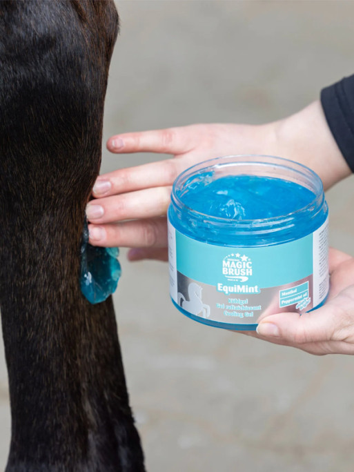 Gel rafraîchissant EquiMint 500ml MagicBrush