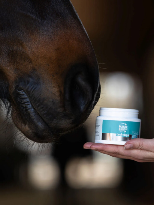 Baume commisures des lèvres Lucky Lips 150ml Magic Brush