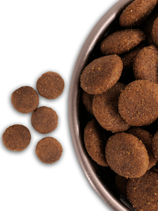Croquettes Alpes Pro 28/16 Nature Dog 15kg