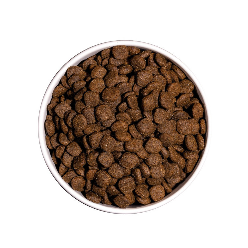Croquettes Ultra Medium Junior 12kg Ownat