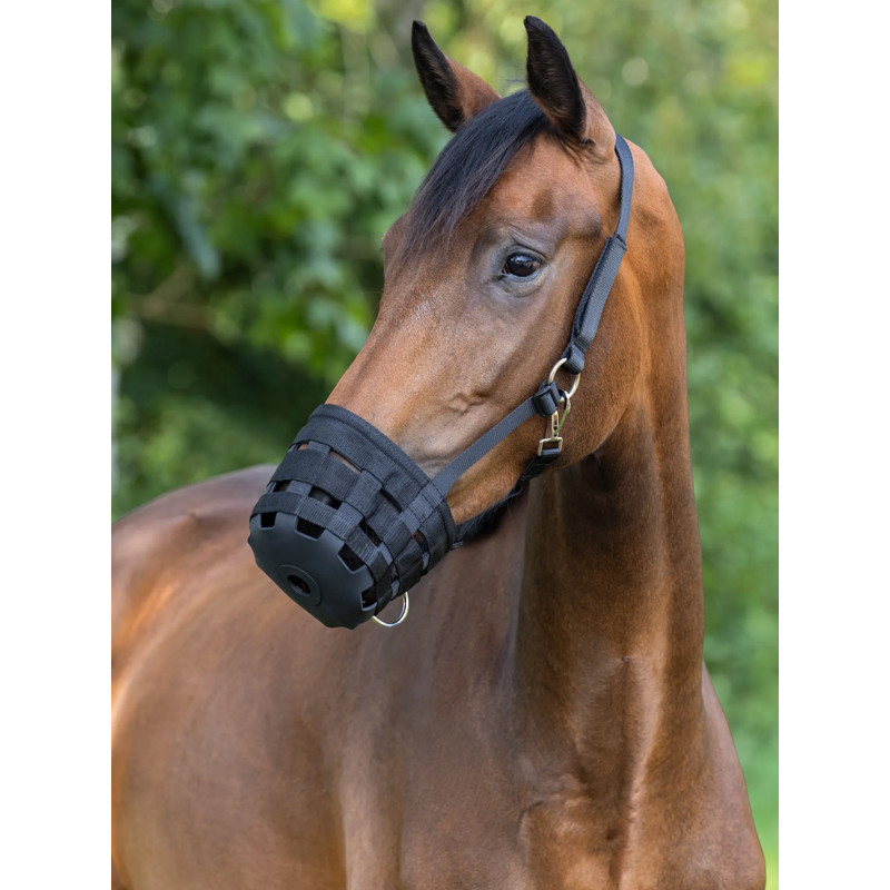 Panier de diète Covalliero