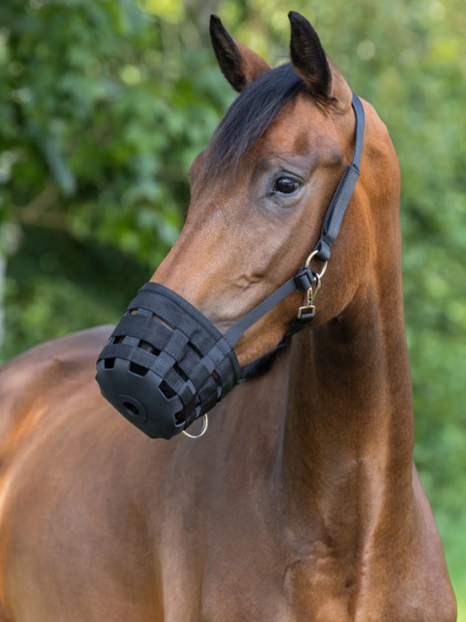 Panier de diète Covalliero