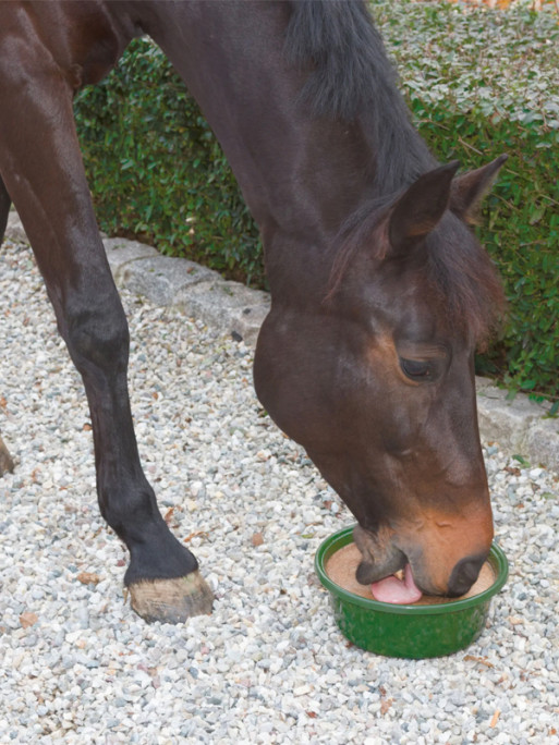 Pierre à lécher bronchial 6kg Delizia