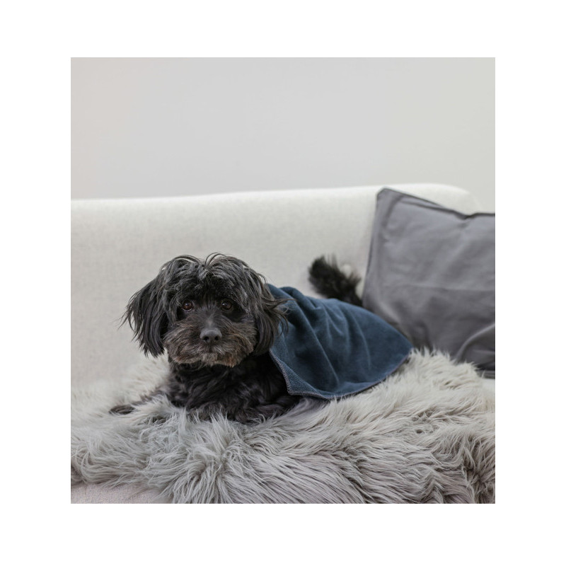 Serviette pour chien 50x60cm Kerbl