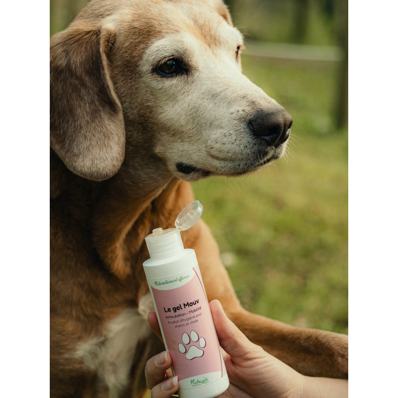 Gel Mouv 125ml Nutragile