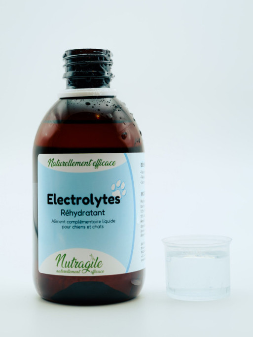 Solution réhydratante Electrolytes 250ml Nutragile